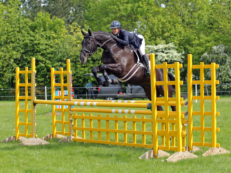 Rockingham Horse Trials | Dubarry Burghley Young Event Horse